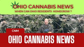 "High Hopes in Ohio: What Comes Next After Voters Pass Issue 2 to Legalize Recreational Marijuana?"