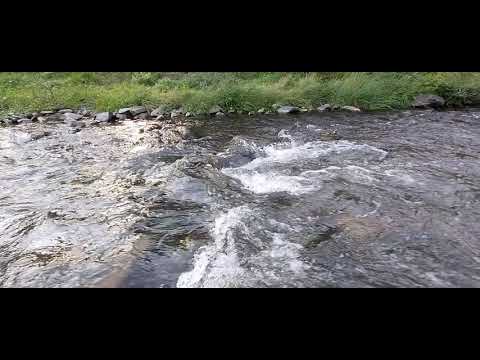 მომდინარე მდინარე