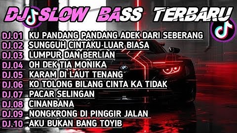 DJ TIKTOK TERBARU 2025 || DJ CINTA DARI SEBERANG🎵DJ SUNGGUH CINTAKU LUAR BIASA🎵FULL ALBUM