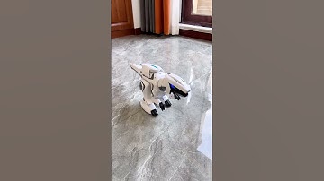 Remote Control Dinosaur Toy with lights and music #