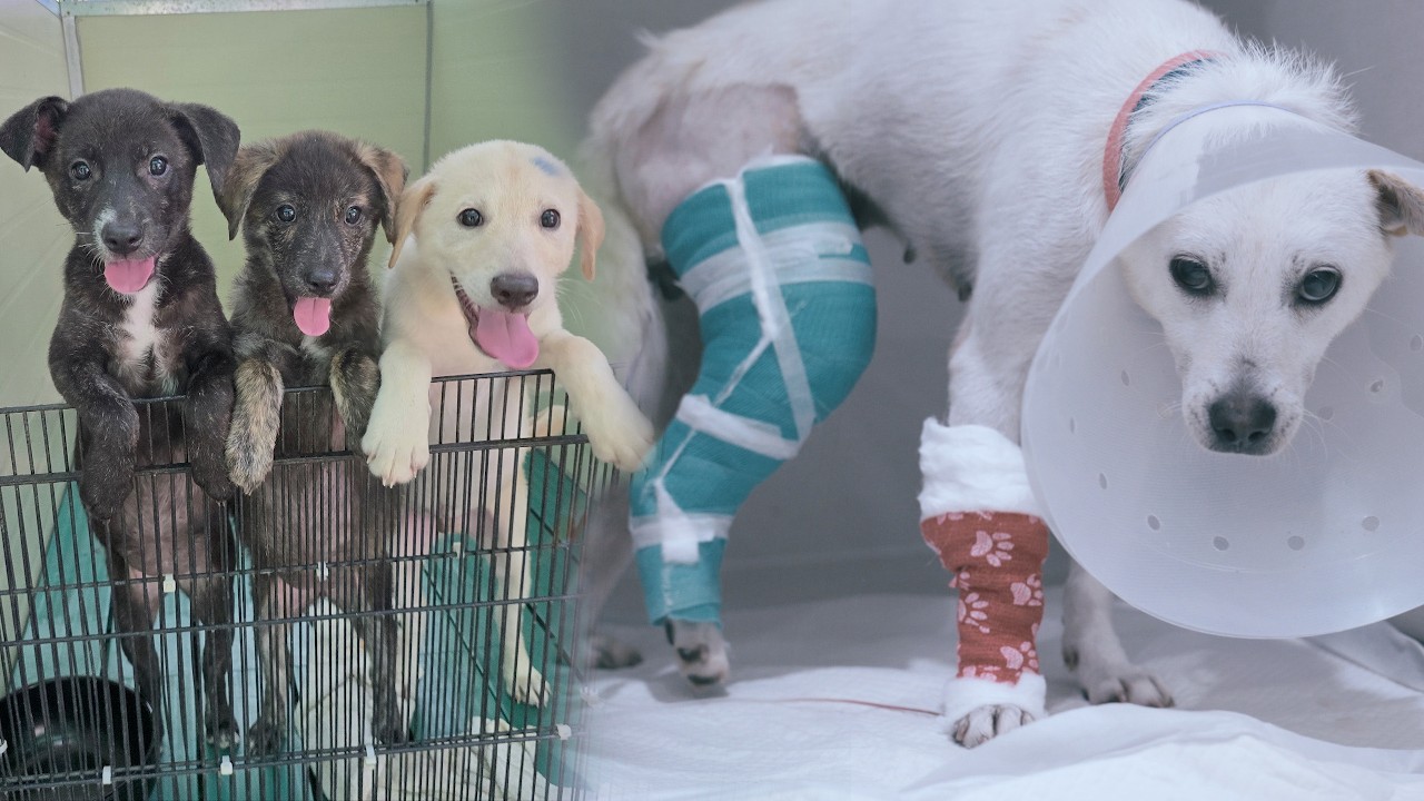 Что происходит, когда мать, которая не могла ходить, начинает ходить?