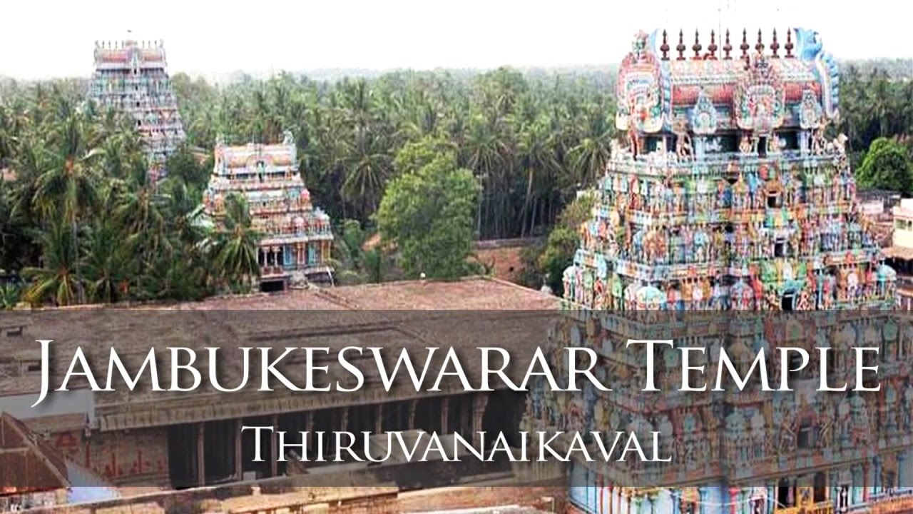 Jambukeswarar Temple - Thiruvanaikaval Thiruchirapalli - YouTube