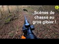 Quelques scènes de chasse au gros gibier au poste (Sanglier, Cerf, Chevreuil, Renard)