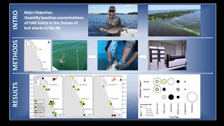 FAU 3MT® Competitor: Michelle Edwards (Marine Science and Oceanography)