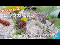 ロックガーデン【植物】オシャレな庭作り　#7
