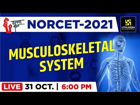 Musculoskeletal system #1