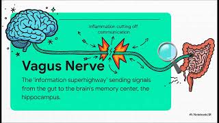 How To Rewire Your Memory The Secret You Never Knew