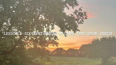 AKC Scentwork Novice Buried