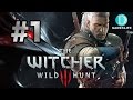 #1 ウィッチャー3 ワイルドハント(the witcher 3) 【PS4・日本語版】実況プレイ