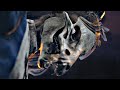 FINAL WARNING: Disturbing scenes incoming - Bramble: The Mountain King #4