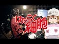 【はたらく細胞】ClariS - CheerS フルを叩いてみた / Hataraku Saibou ED full Drum Cover