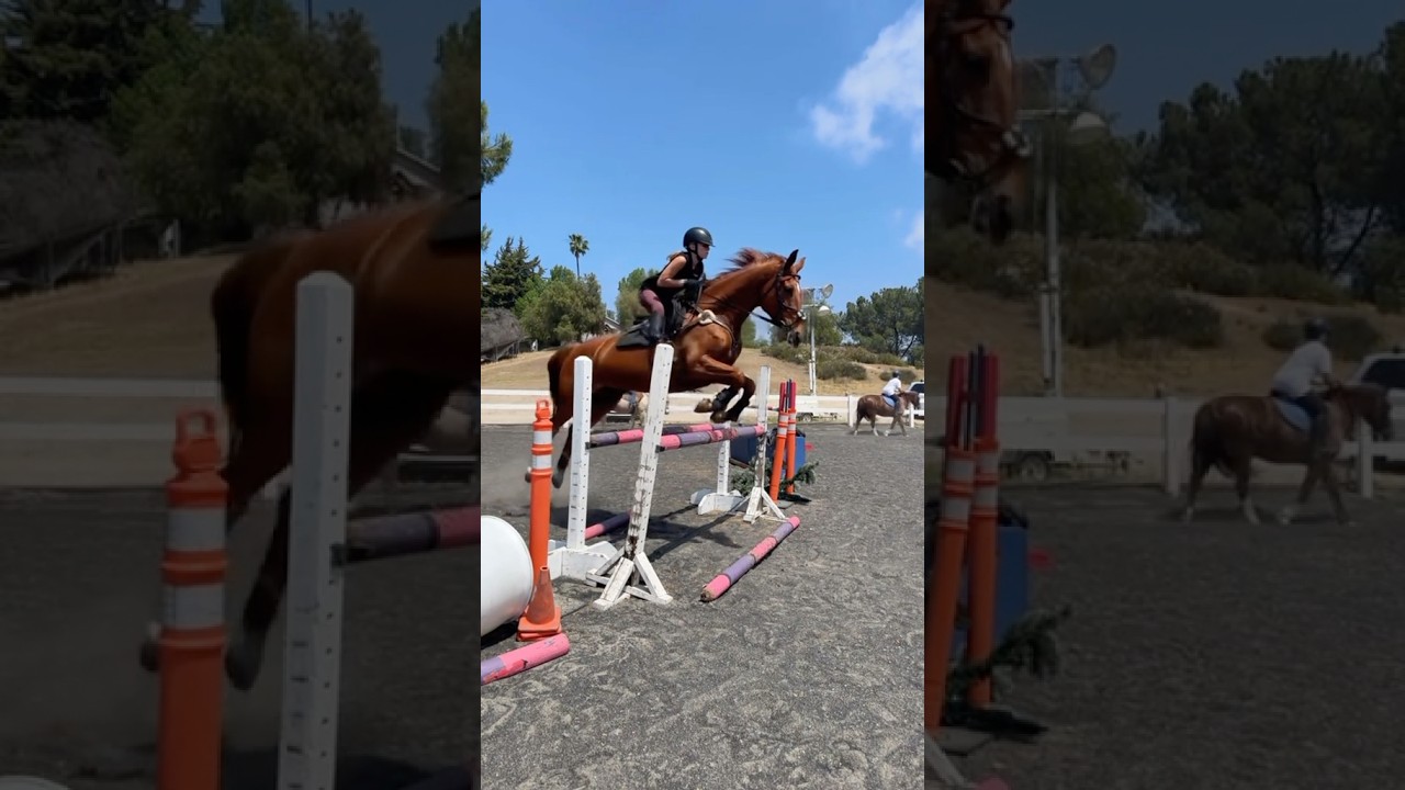 kinda close but i love this horse 