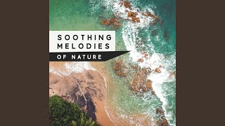 Soft Note screenshot 5