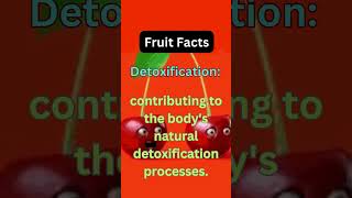 Why the Christmas Fruit Cherries Are Important To Our Health health christmas cherry cherries
