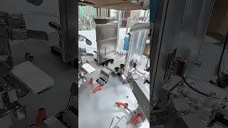 Automatic Industrial Cartoning Machine