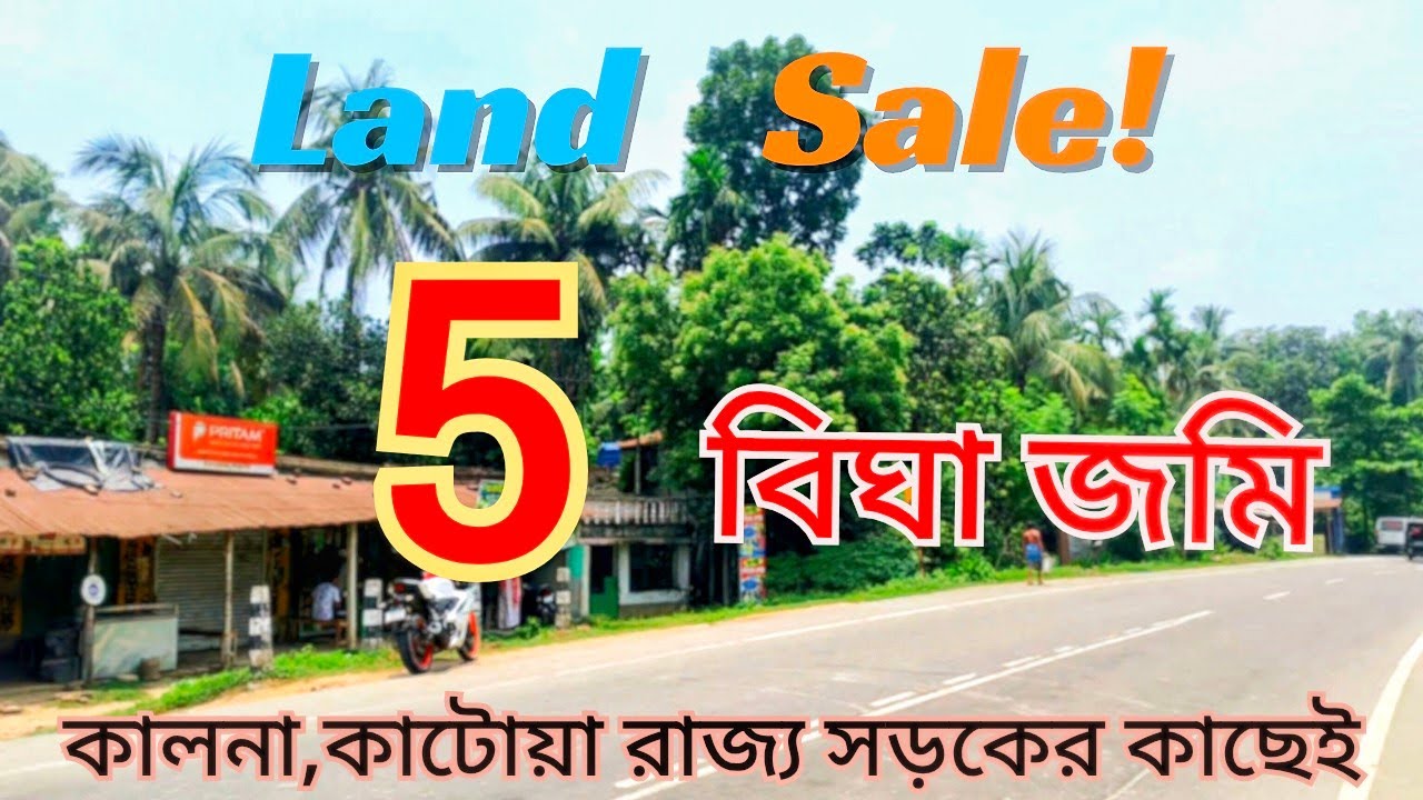 Land sale in Nabadwip, near Parulia // কম দামে স্বপ্ন পূরণ // কালনা - কাটোয়া রোডে