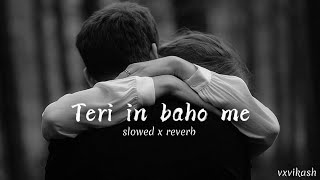 Teri in baho me lofi song ||slowed x reverb|| Udit Narayan/Alka Yagnik #song #lofi $