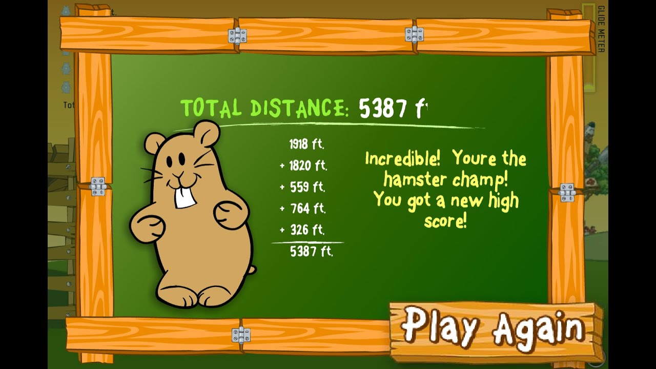 Flight of the Hamsters - 2025 World Record (5387 ft)