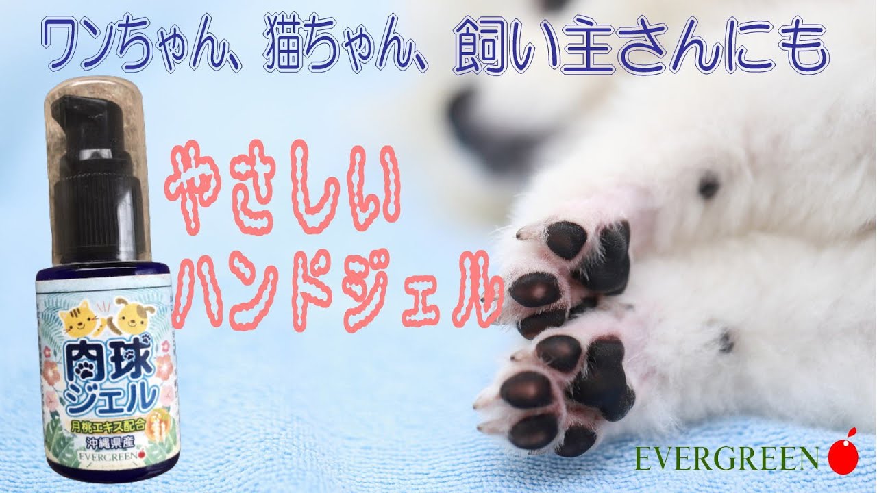 わんちゃん、猫ちゃん、飼い主さんにもやさしい「肉球ジェル」 8月15日