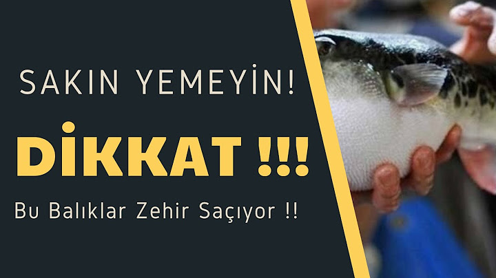 Bu Balıkları Asla Yemeyin | İşte  O Zehirli Balıklar