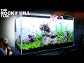 The Rocky Hill Tank: Iwagumi w/ Vietnamese Minnows (Planted Tank Aquascape Tutorial)