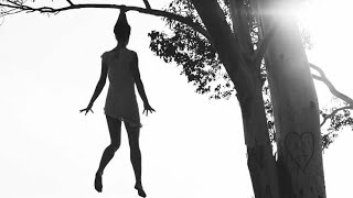 The Raconteurs - Carolina Drama Lyrics Fanvideo ••●••