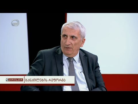 გია მურღულიამ განათლების რეფორმის რისკები დაასახელა