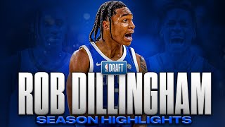 Rob Dillingham Season Highlights | Offense \& Defense | 2024 NBA Draft