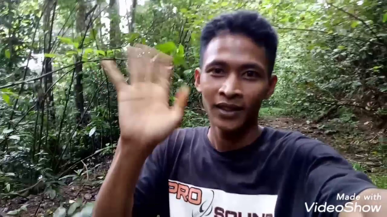AIR TERJUN SIPAGOGO - YouTube