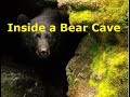 Inside a bear cave reupload