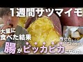 【1週間で−2.6kg減量】サツマイモ食べまくった結果がヤバい。。。