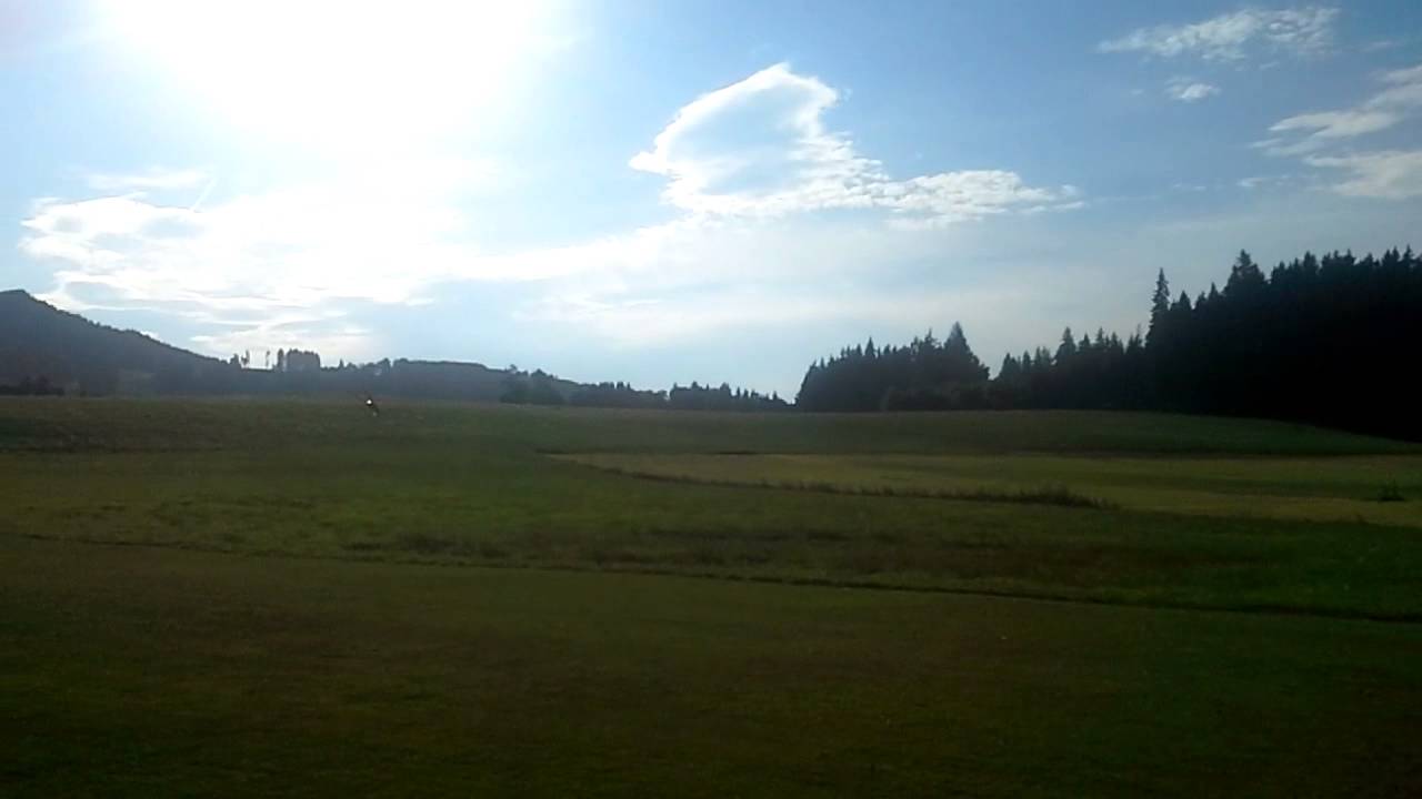 Logo 600SX - Niklas Solle