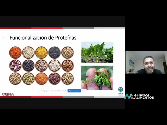 Charla  Funcionalización de Proteínas de Mauricio Opazo 1