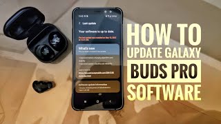Samsung Galaxy Buds Pro Software Update: Complete Procedure from Download to Installation screenshot 4