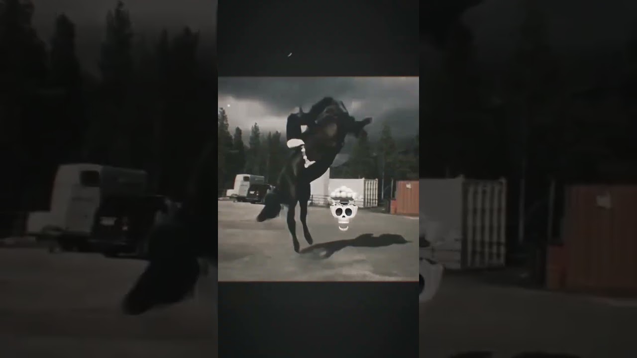 The Ultimate Companion: The Horse Man's Best Friend 