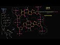 Молекулярная структура ДНК  (видео 5)| ДНК. Молекулярная генетика | Биология