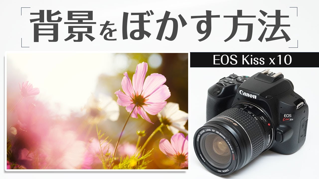 eoskissx9 白 使用感ほぼ無し