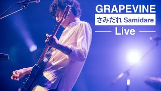 GRAPEVINE - さみだれ (Live at Zepp DiverCity 2021.07.08)