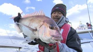 【釣り百景】#113 青森県陸奥湾に浮かぶ夢の鯛島へ　新提案マダイゲーム