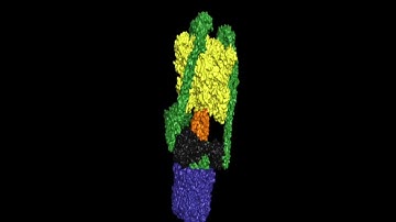 V-ATPase Pymol Video for Poster