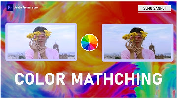 Automatic Color Matching in Premiere Pro.