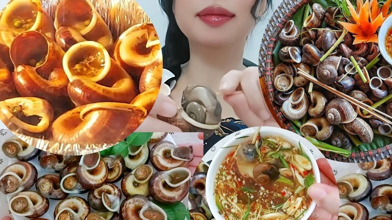 ĐỘC LẠ LOẠI ỐC CHỈ ĂN THẢO DƯỢC QUÝ NƠI NÚI RỪNG! CÁCH LÀM ỐC HẤP XẢ ...