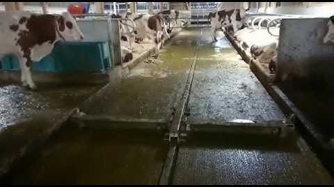 Ratchet Scraper - Dairypower Pro-Clean Hydraulic Scraper System