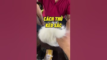 Cách thử kéo sắc bén hay bị nhụt trước khi mài kéo cắt tóc | Quang 3S #maikeo #maikeocattoc #quang3s