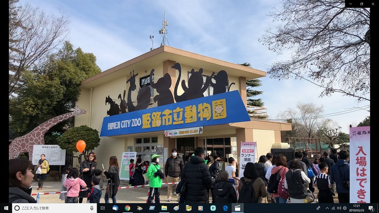 ⁴ᴷ⁶⁰【姫路市立動物園/2019】2/24(日)