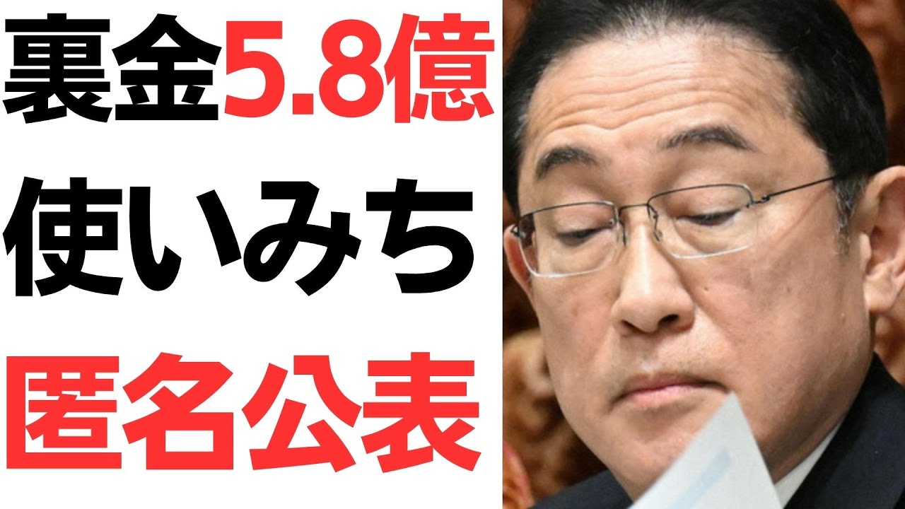 自民党政治資金問題の使途公表をめぐる議論を扱う動画のサムネイル