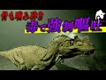 ケラトサウルスのゲボ攻撃で敵を殲滅させよう！＃theisle