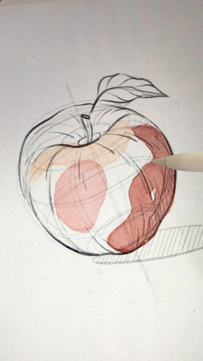 Sketching in Procreate ✏️ How to draw an Apple 🍎 #procreate #drawing #sketching #digitalart #sketch