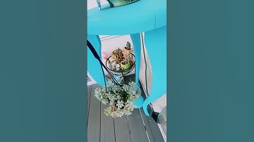 Let’s Upcycle This Heart Shelf! | Gabrielle Regina #shortz #itsgabby #tiktok