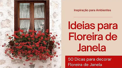 O que colocar na janela?